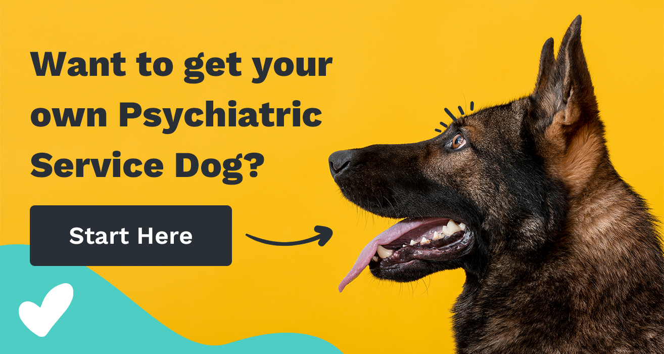 Psychiatric service clearance dog price