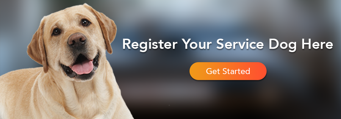 Service Dog Registration