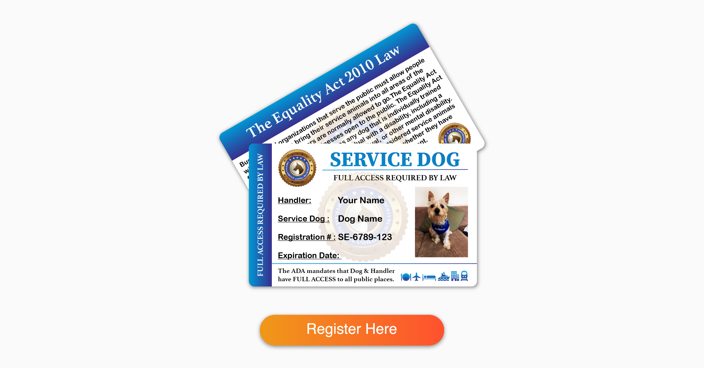 How Much Will It Cost To Train Your Dog To Be A Service Dog?